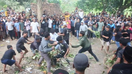sawuran nasi