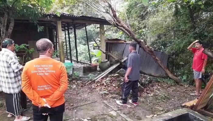 Hujan Deras, Longsor Hantam Rumah Warga Tambahrejo Blora