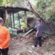 Hujan Deras, Longsor Hantam Rumah Warga Tambahrejo Blora