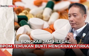 jamu ilegal