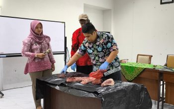 Pastikan Daging Kurban di Semarang Berkualitas dan Sehat, Dispertan Gelar Bimtek Pemotongan Hewan