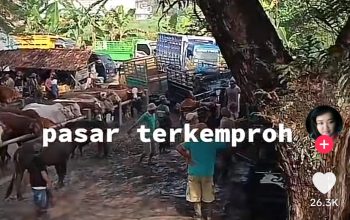 video viral Grobogan