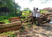 Illegal Logging