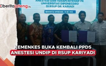PPDS Undip