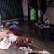 Idul Adha Penuh Berkah! Pengumpul Kulit Hewan Kurban Blora Ini Berhasil Dapatkan 10 Ton