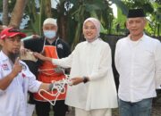 hewan daging kurban