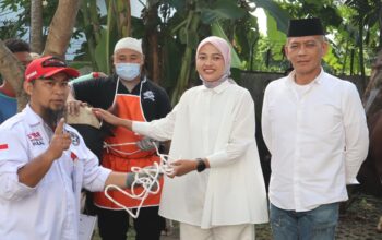 hewan daging kurban
