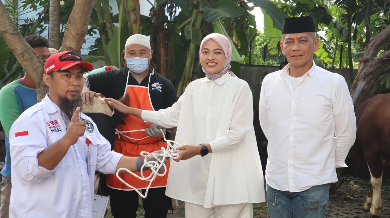 hewan daging kurban