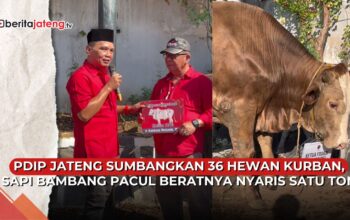 kurban PDIP Jateng