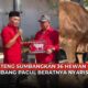 Video PDIP Jateng Kurbankan 36 Hewan, Sapi Bambang Pacul Beratnya 900 Kilogram