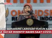 insentif nakes