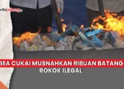 pemusnahan rokok ilegal