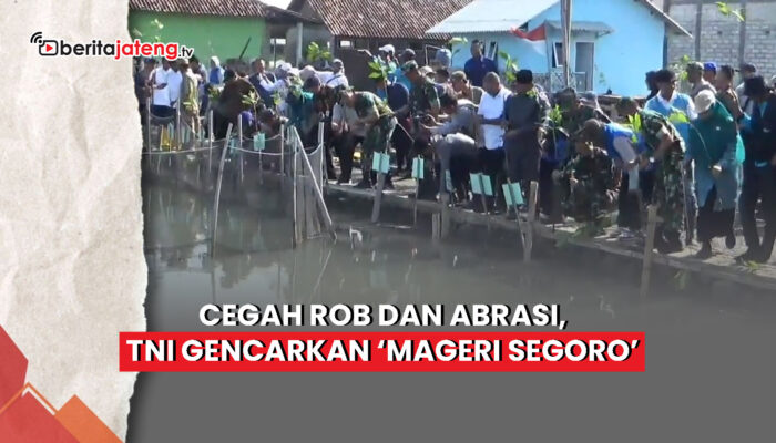 Video Cegah Rob dan Abrasi, TNI Gencarkan ‘Mageri Segoro’