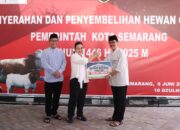 Idul Adha 2025, Pemkot Semarang Sembelih Kurban 18 Sapi dan 28 Kambing