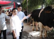 Tingkatkan Solidaritas dan Toleransi, Walikota Agustina Serahkan Hewan Kurban Saat Idul Adha