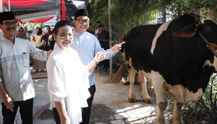 Tingkatkan Solidaritas dan Toleransi, Walikota Agustina Serahkan Hewan Kurban Saat Idul Adha
