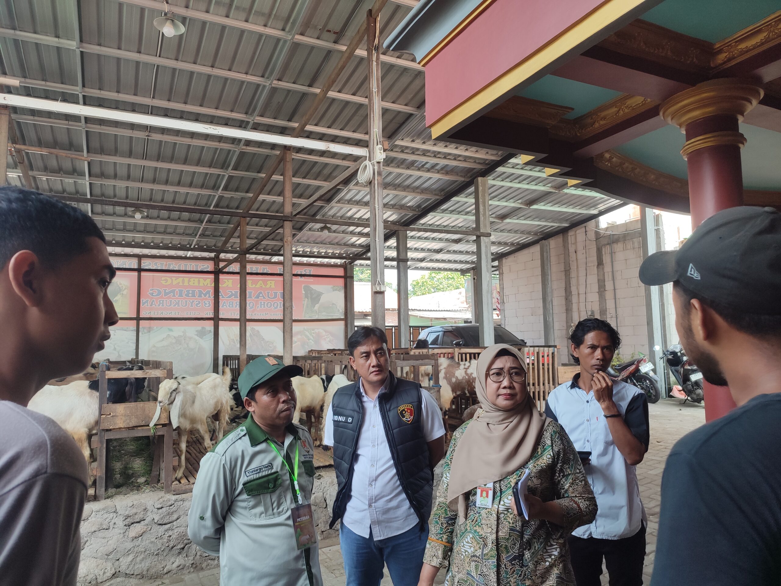 Dispertan Sidak Hewan Kurban di Kota Semarang, Pastikan Sehat dan Layak Jual