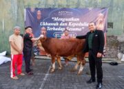 Kurban ASTON