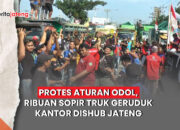 demo ODOL