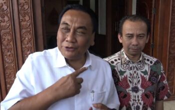 Pemilu Nasional Daerah