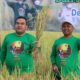 Bupati Blora Pimpin Panen Raya Padi Organik, Dorong Pertanian Berkelanjutan dan Ramah Lingkungan