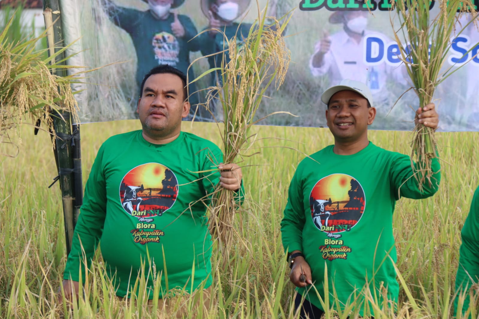 Panen Raya Padi Organik Blora