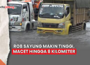 rob sayung tinggi