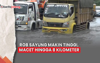 rob sayung tinggi