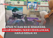 SPMB jalur domisili semarang