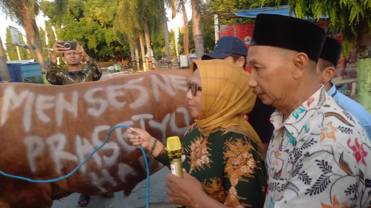Sapi Blora