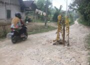 jalan desa blora