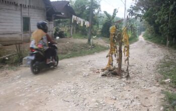 jalan desa blora