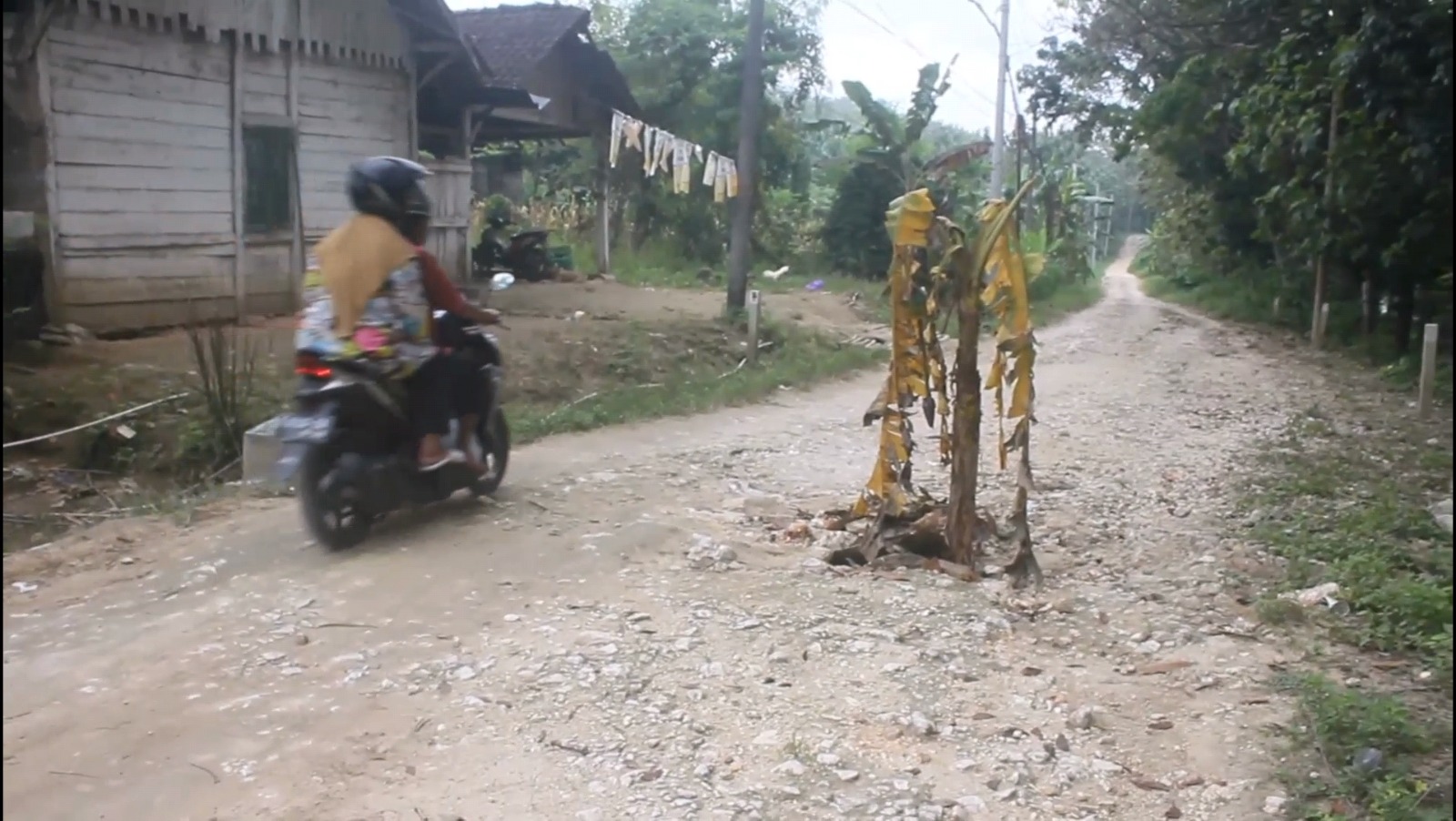 jalan desa blora