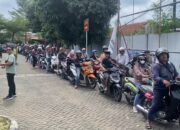 pemutihan denda pajak semarang