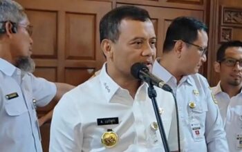 ahmad luthfi // pppk