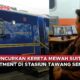 Video PT KAI Luncurkan Kereta Mewah Suite Class Compartment