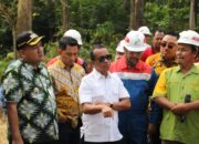 Energi Nasional
