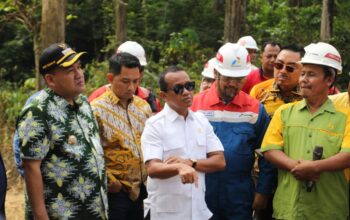 Energi Nasional