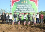 Dukung Ketahanan Pangan, Walikota Semarang Optimalkan Lahan Tidur untuk Ditanami Jagung