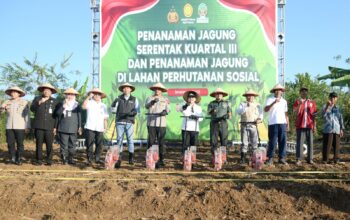 Dukung Ketahanan Pangan, Walikota Semarang Optimalkan Lahan Tidur untuk Ditanami Jagung