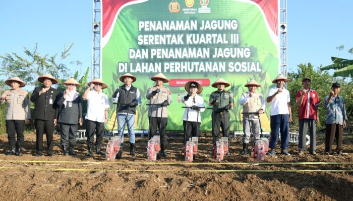 Dukung Ketahanan Pangan, Walikota Semarang Optimalkan Lahan Tidur untuk Ditanami Jagung