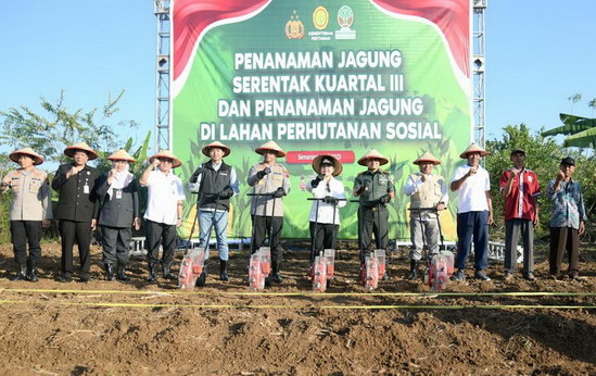 Dukung Ketahanan Pangan, Walikota Semarang Optimalkan Lahan Tidur untuk Ditanami Jagung