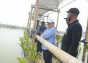 Tambakrejo Semarang Bakal Jadi Ecowisata Mangrove, Pemkot Siapkan Masterplan