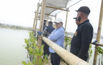 Tambakrejo Semarang Bakal Jadi Ecowisata Mangrove, Pemkot Siapkan Masterplan