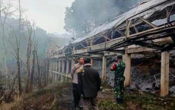 Kandang Peternakan Ayam di Sumowono Semarang Ludes Terbakar, Kerugian Pemilik Capai Rp3 Miliar
