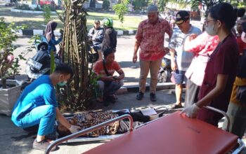 Pensiunan ASN Tewas Terlindas Feeder Trans Semarang di Bundaran Klipang, Begini Kronologinya