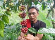 Kopi Rakyat Semarang