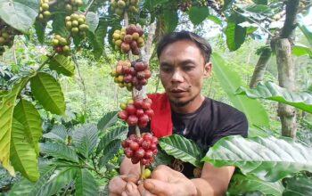 Kopi Rakyat Semarang