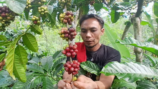 Kopi Rakyat Semarang