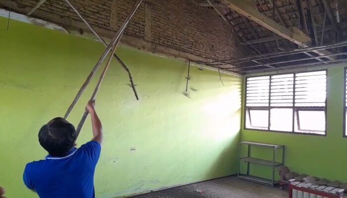 Miris! Kondisi Kelas SDN 1 Karangjati jadi Sarang Kelelawar dan Atap Ambrol, Padahal 5 Meter dari Kantor Disdik Blora